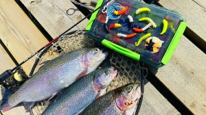 ФОРЕЛЬ всегда клюнет на ЭТУ РЕЗИНУ Ловля форели на спиннинг