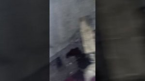 Как выбить закисший болт нижнего рычага передней балк