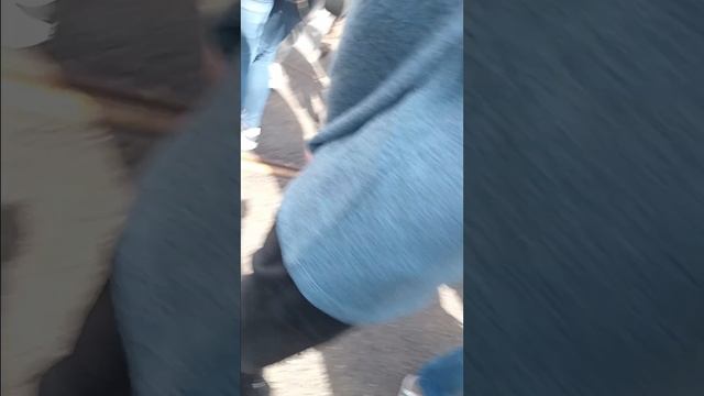 Парад трамваев в Москве 2025 обзор смотреть онлайн