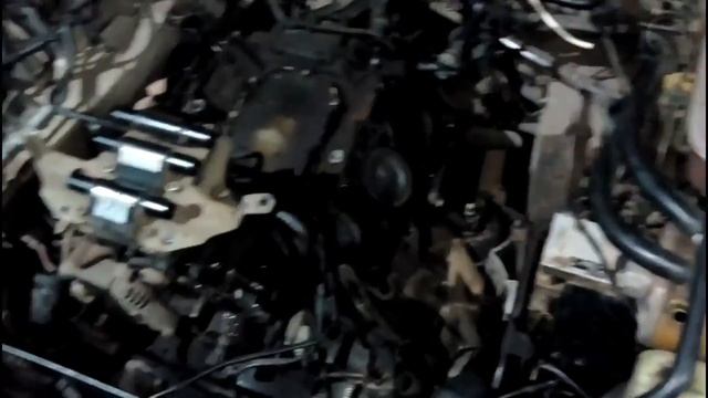Как Лечить свою Ауди #диагностика #диагностикаавто #ав смотреть онлайн