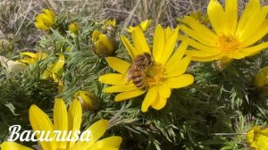 20 февраля День Луки. Что нельзя делать 20 февраля. Народ