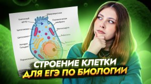 Строение клетки в ЕГЭ: Полный разбор эукариот | Биология ЕГЭ 2025 | Умскул