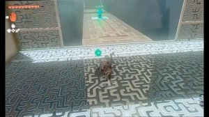 Как пройти святилище Домидзуй Но. The legend of Zelda Tears of the Kingdom.