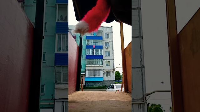 #remix #music #mashup #rap #hiphop #2024 #dance #квадробика #тренды #funny смотреть онлайн