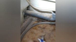 Замена мойки на кухне.