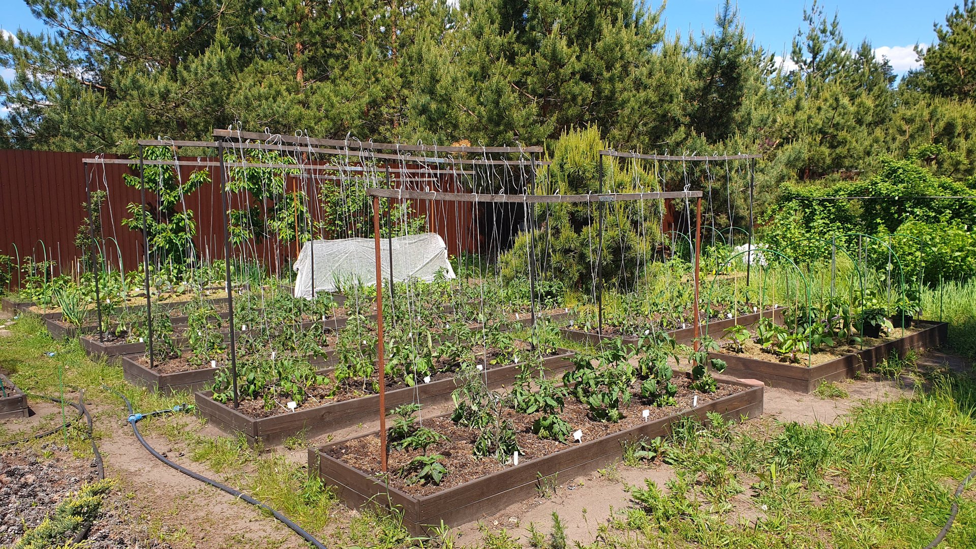 ВЫСОКИЕ ГРЯДКИ. НУЖНЫ ЛИ? МОЙ ОПЫТ ИСПОЛЬЗОВАНИЯ. смотреть онлайн