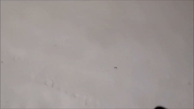 StarLine S96 V2 свободные руки в действии