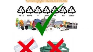 Общая экология. Обучение