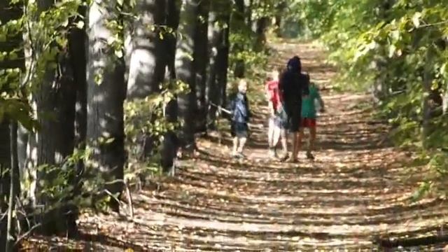 6-2. г. Василевичи. Красный Пахарь. Детдом Журавичи. Липовая аллея смотреть онлайн