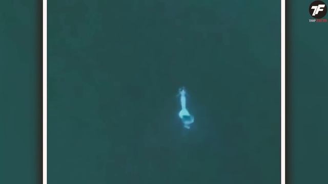 Камера Дрона Под Водой Сняла То, Что НИКТО не Должен Бы смотреть онлайн