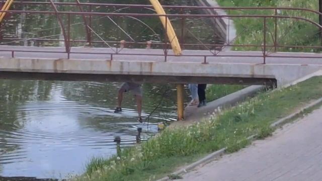 Парк в Уручье. Отец спасает сыну мячик из канала, повиснув на мосту смотреть онлайн