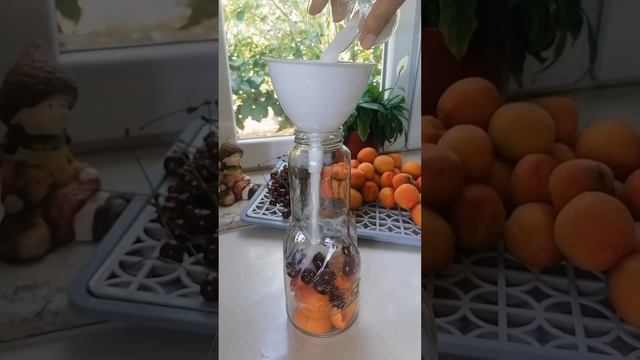 Ərik Kompotunun Hazırlanması. Preparation Of Apricot Compote. Приготовление ком?