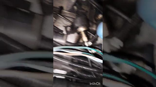 Шахман Х3000 (Х5000) жгут коробки отбора мощности. Цвета и ? смотреть онлайн