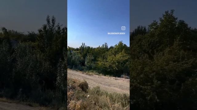 16 августа кызыл-кия бизнес участок салат