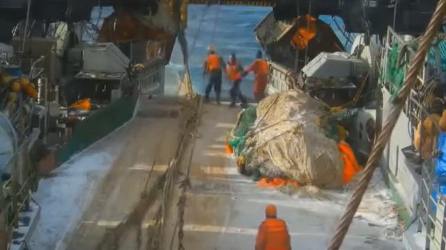 Приколы. Короткие. Смешные.1 смотреть онлайн