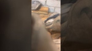 Сборка двс stels 500 грм