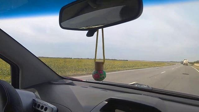 Ростовские подсолнухи... и строгий водитель.