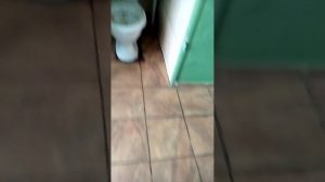Прикол в школьной туалете