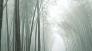 Шопен  Вальс дождя