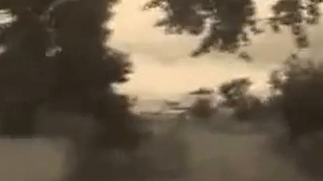 Ginex - Казахстан