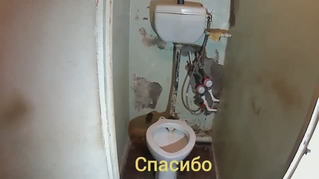 Не все видели такой унитаз. Меняю на компакт. смотреть онлайн