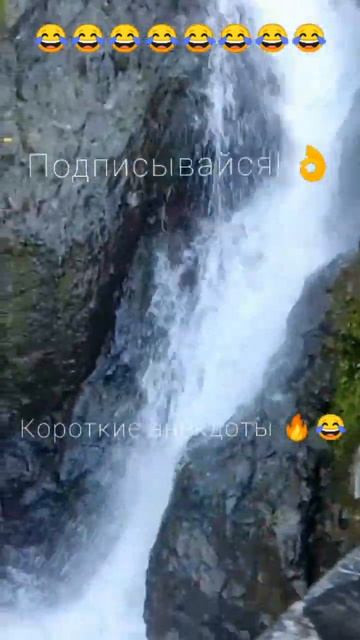 Анекдот дня 🔥😂 короткие анекдоты видео #shorts смотреть онлайн