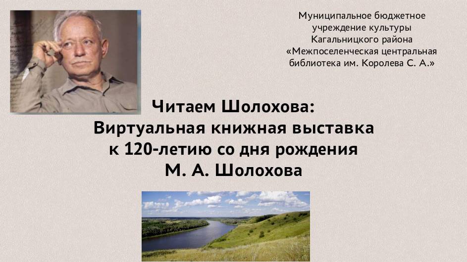 Читаем Шолохова смотреть онлайн