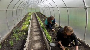 Работа в теплице
