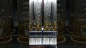 Honda Stepwgn бедная смесь и гирлянда на приборной панели.