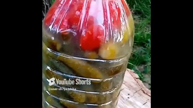 Как солить огурцы в пластиковой бутылке#огурцы #солен?