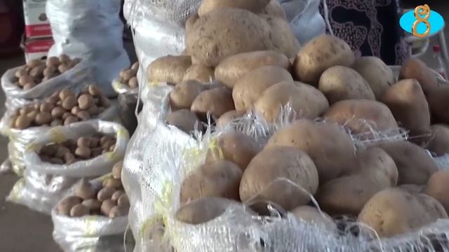 Картошка подорожала  Կարտոֆիլը թանկացել է