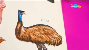 Навигатор новости Выпуск  824