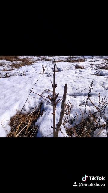 Весна в деревне. смотреть онлайн