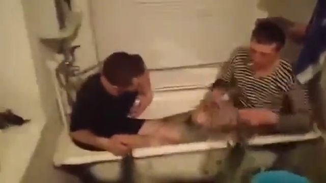 ПРИКОЛ. РЫБАКИ смотреть онлайн