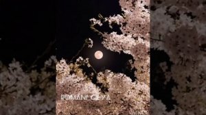 Цыганская песня 💫 Лезгин белаш - Бах бари