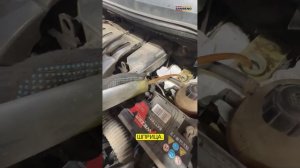 Замена тормозной жидкости Рено Сценик