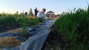 НИКТО НЕ ВЕРИТ/УЧИМСЯ НА СВОИХ ОШИБКАХ/СПАСАЕМ МАЛИНУ/ХОРОШО В ДЕРЕВНЕ