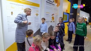 Навигатор Новости. Выпуск 1188