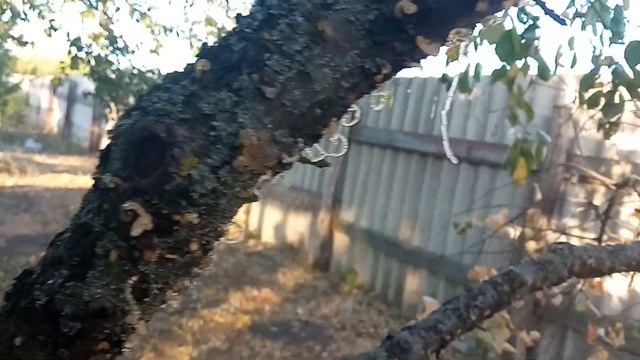 7 сентября 2024 г.