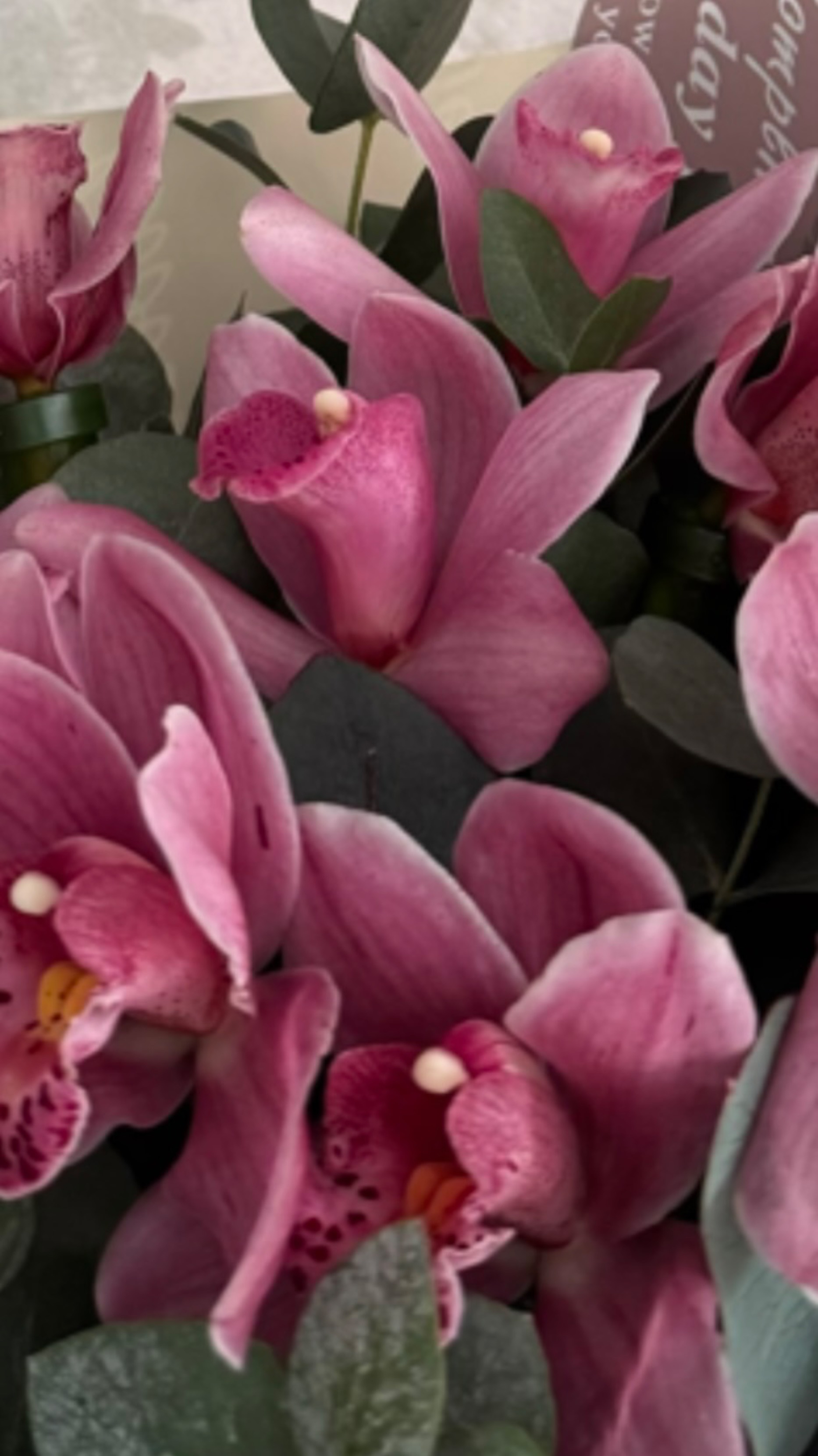 Наши даты…