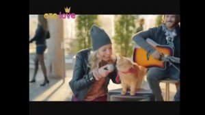 Рекламный блок («СТС Love», 15.03.2016).