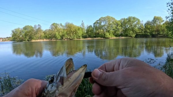 АЗАРТНАЯ ЩУЧКА.СПИННИНГ.ДЖИГ.РЕЗИНА "KEITECH"