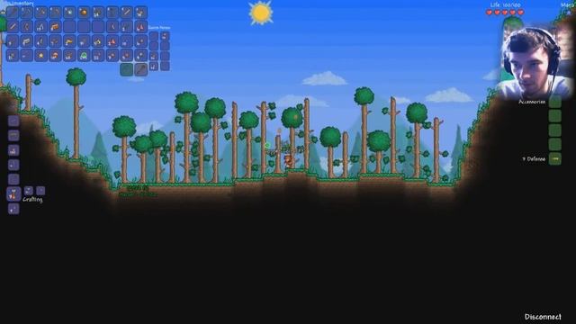 рекви, хахен и террария #1 // Terraria [Dark Souls Mod]
