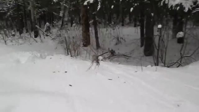 как вытащить машину лебёдкой.