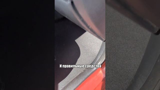 Микрофлора легковушки #нара #detailing #DriversZone смотреть онлайн