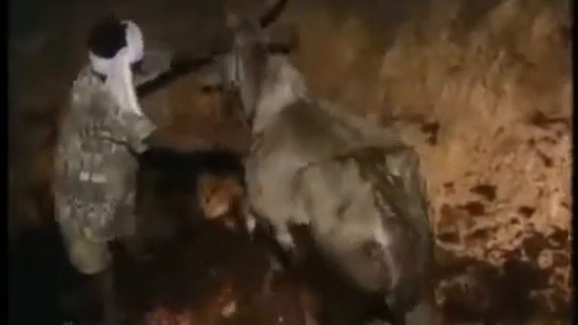 Земляне !!! Легендарный фильм о... смотреть онлайн