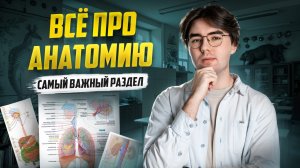 Анатомия | Биология ОГЭ 2025 | Умскул