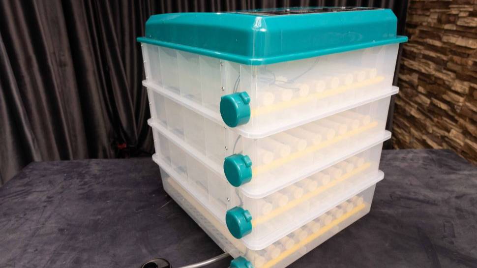 Отзыв на автоматический инкубатор AGRI на 220 яиц смотреть онлайн