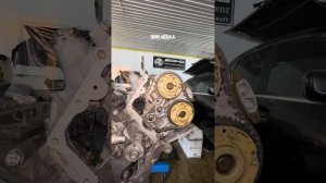 BMW n62b4.4 как правильно выставить метки ГРМ￼