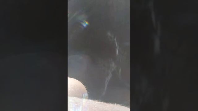 строительство бассейна с использованием жидкого стек смотреть онлайн